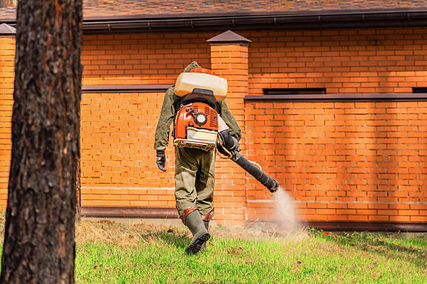 Trusted Mosquito Control service in Lake Butler, FL - Nex Pest Control